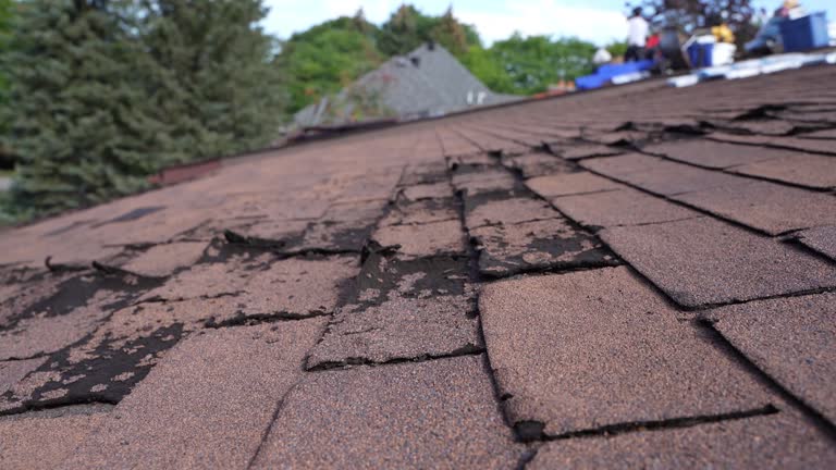 Best Wood Shake Roofing  in Buffalo, OK